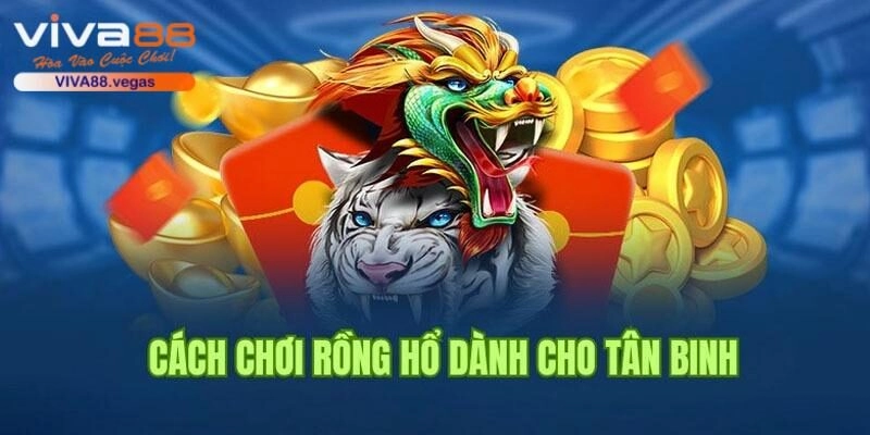 Luật đánh Dragon Tiger đơn giản với hội viên mới