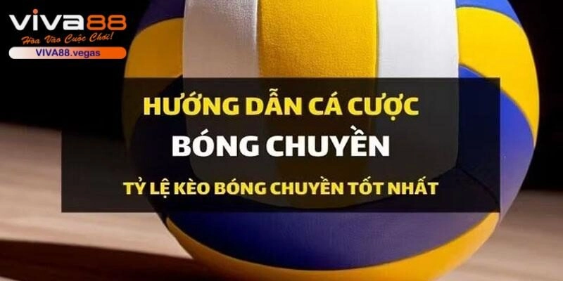 Đa dạng các hình thức nhận định Volleyball ấn tượng