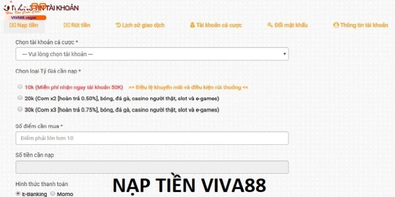 Thủ tục thanh toán trên cho người chơi cần chú ý điều gì?