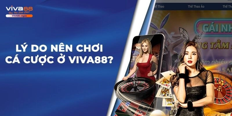 Những ưu điểm chính